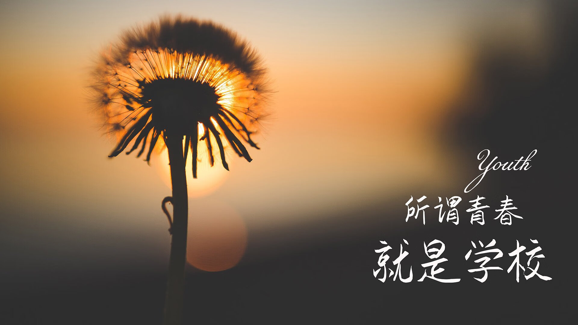 世界俱乐部杯在线观看-_全球运动鞋展：科技引领运动鞋新革命_，运动品牌科技