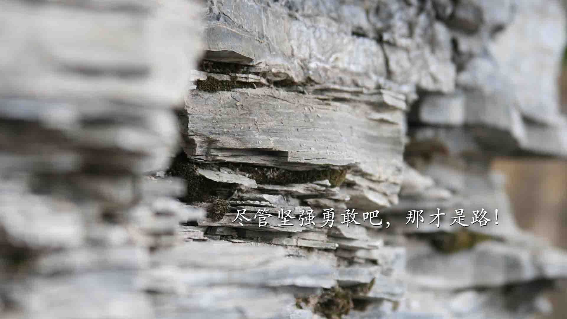 巴黎：再签欧洲顶级球员，打造银河阵容，巴黎球队球员名单