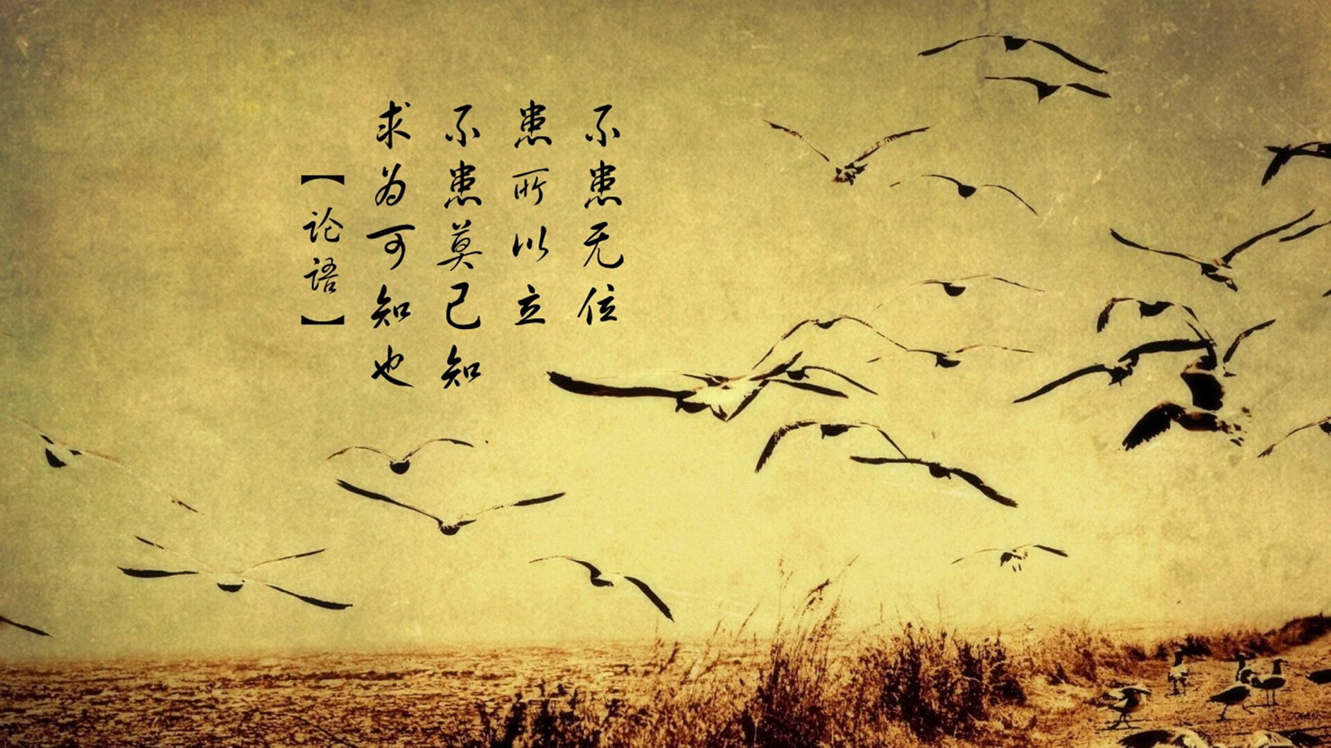 法甲各豪门争夺市场份额，增强品牌影响力，法甲榜首