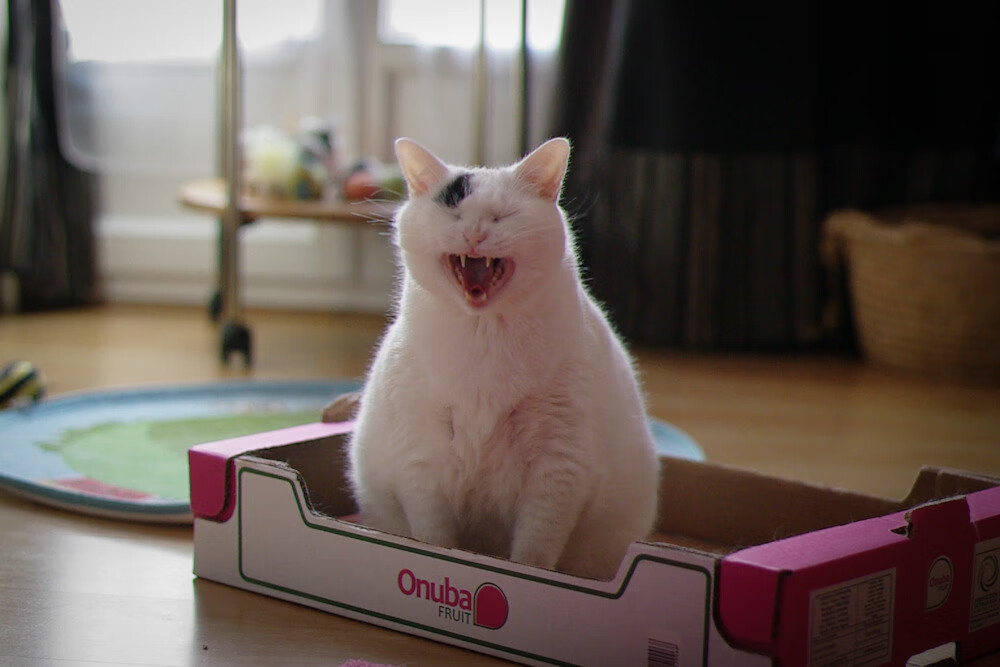 世俱杯网址-国字号梯队是否应形成稳定培养通道，国字号队伍