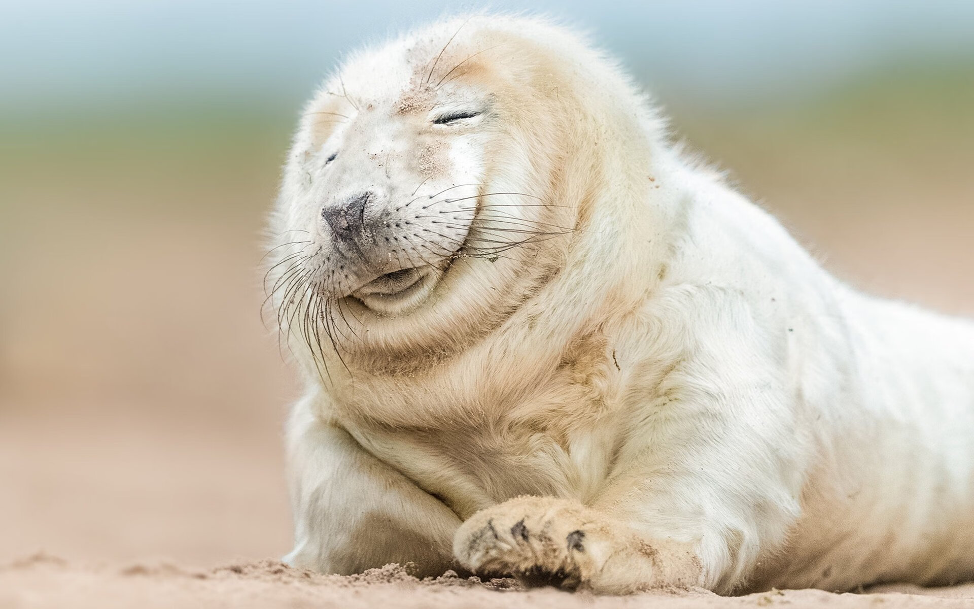 世俱杯网站-西雅图海湾人签约新外援，增强进攻实力，西雅图海湾者