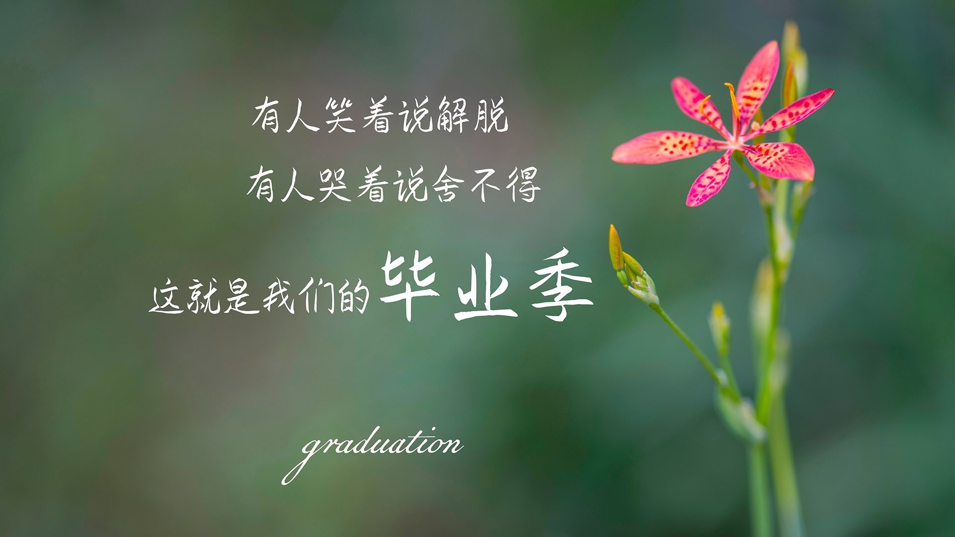 世界俱乐部杯在线观看-辽宁男篮球员斗志昂扬，拿下关键胜利，辽宁男篮的