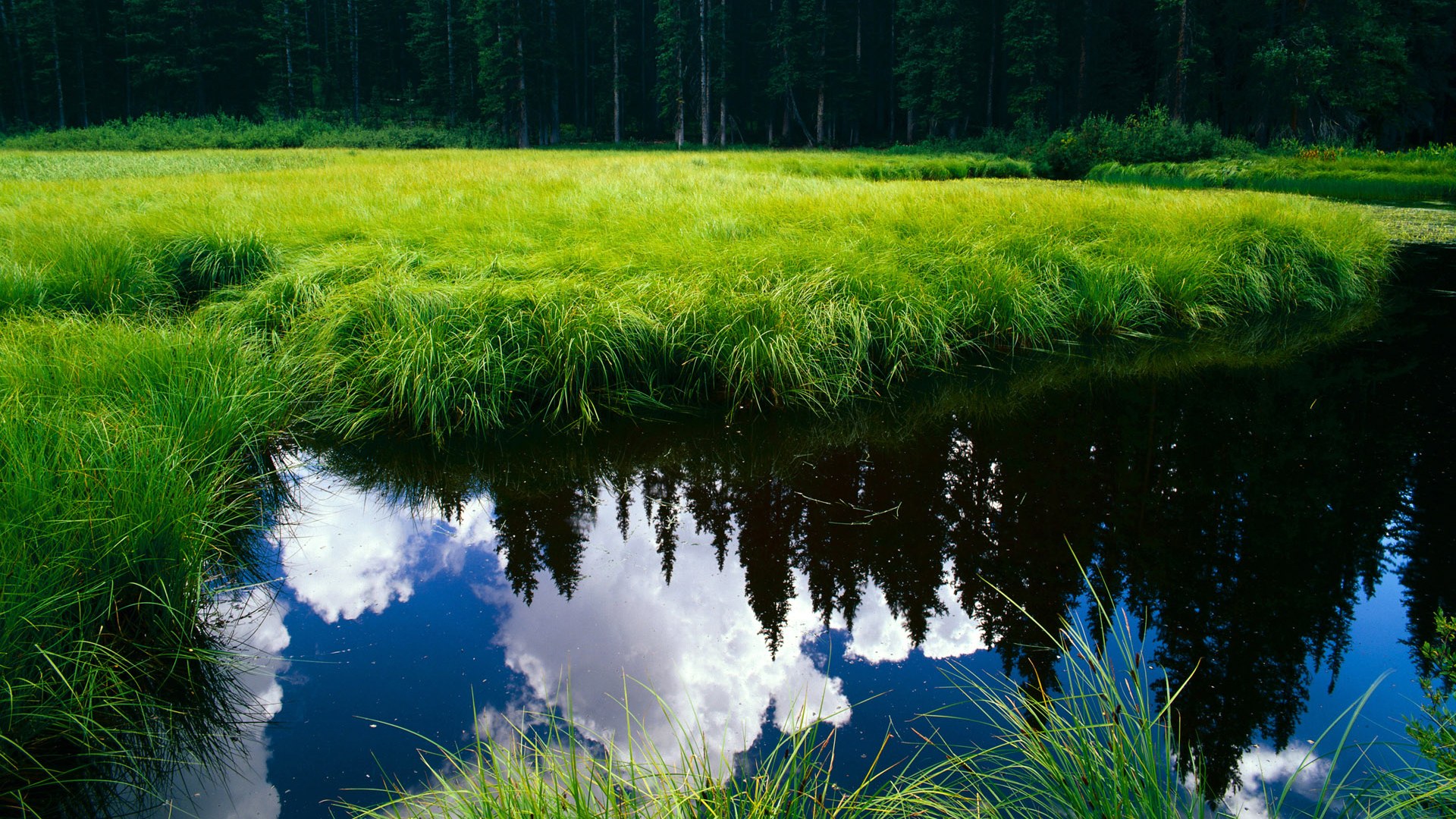 NBA球队比赛录像分析系统的设计与应用，nba比赛录像是什么网址
