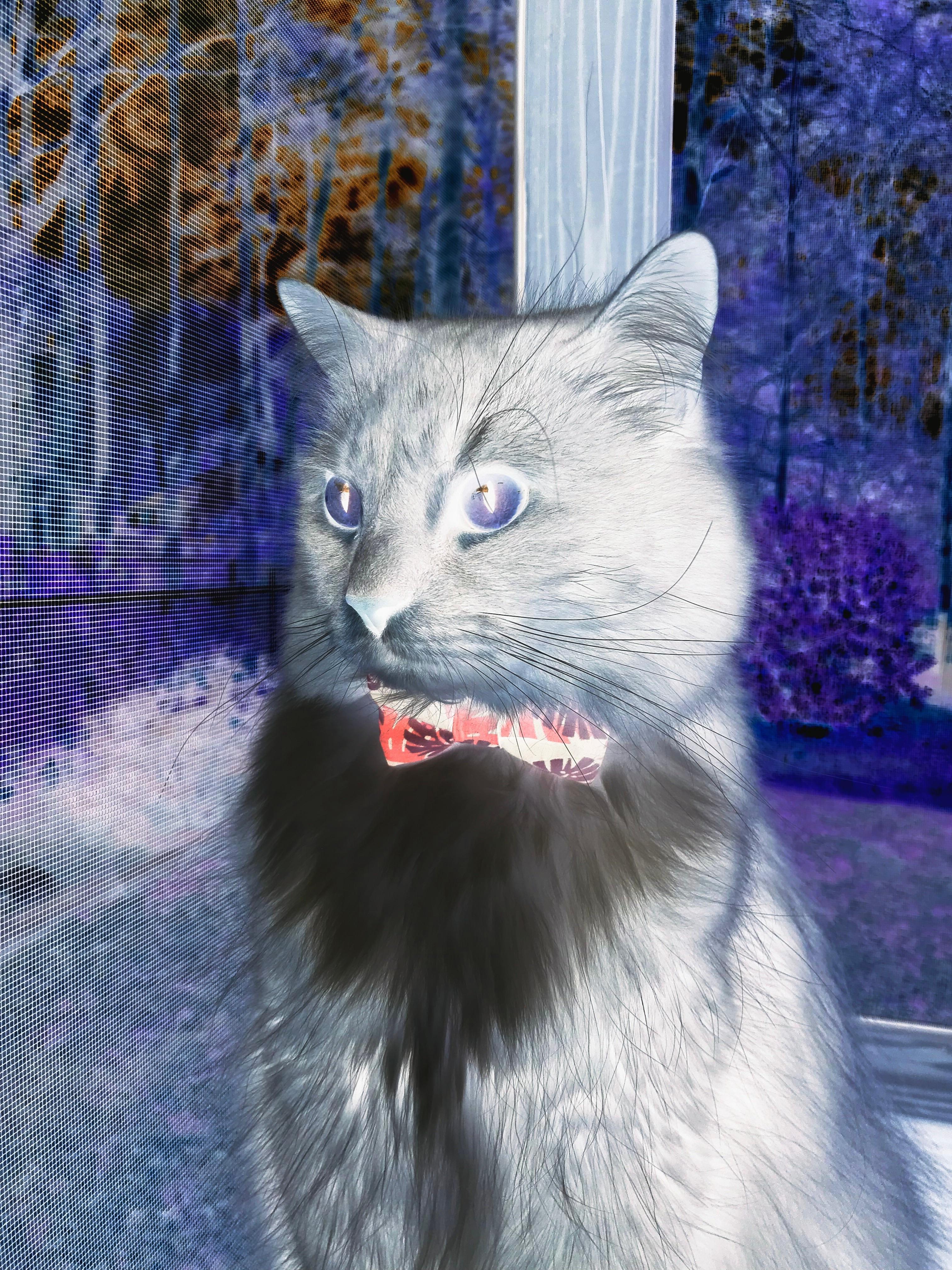 德甲赛季中球员体能衰减趋势与恢复干预研究，德甲强度