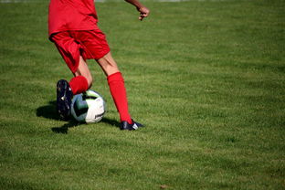 足球世界俱乐部杯直播-篮球运动员心理素质测评体系构建，篮球运动员心理素质的重要性