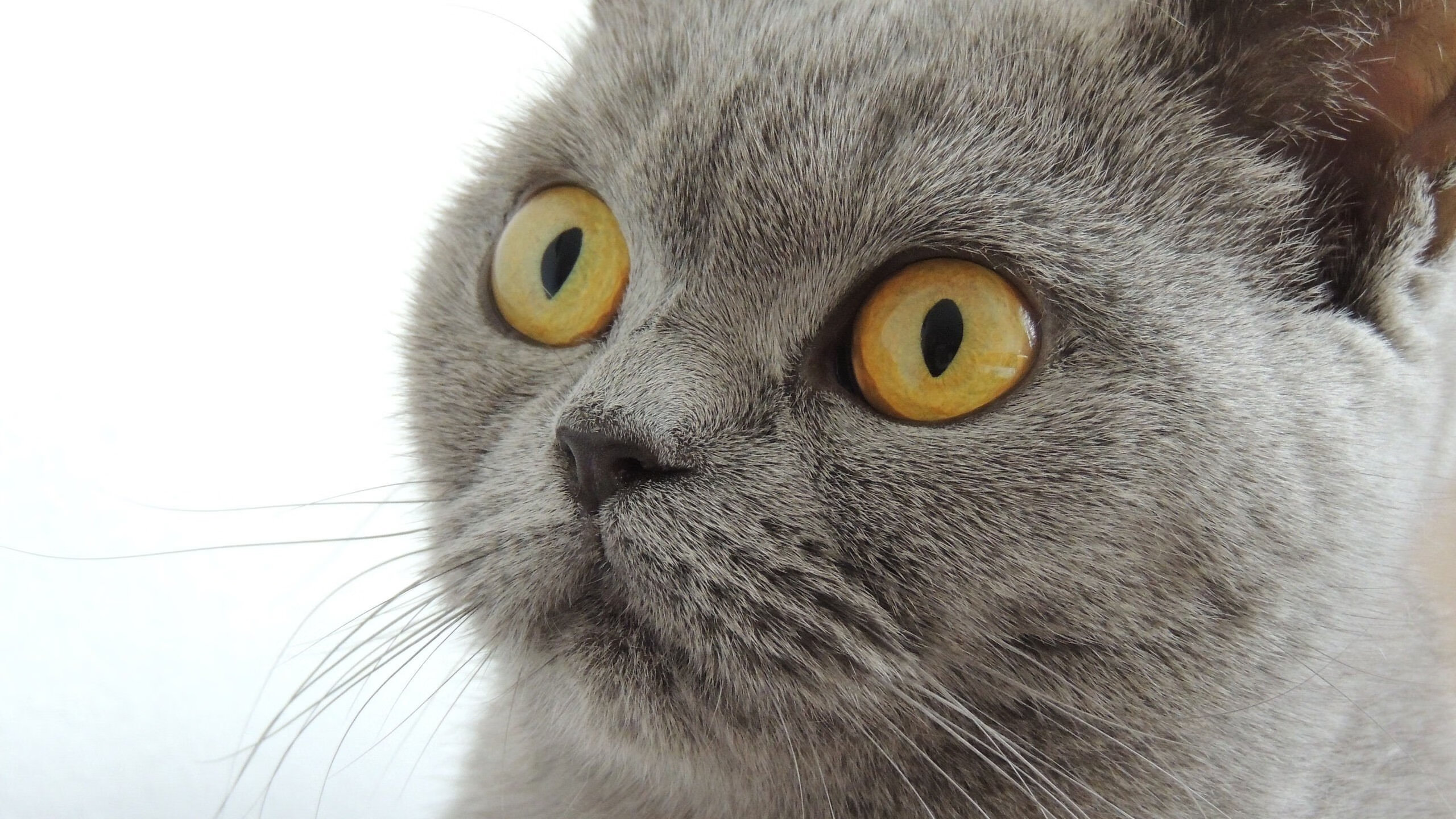 高校体育课程教学创新与实践探索，高校体育教学理论与实践研究