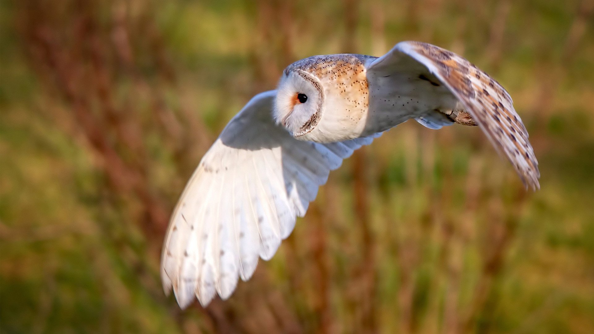 世界杯预选赛国足惨败 球迷呼吁全面改革,世界杯预选赛国足比赛