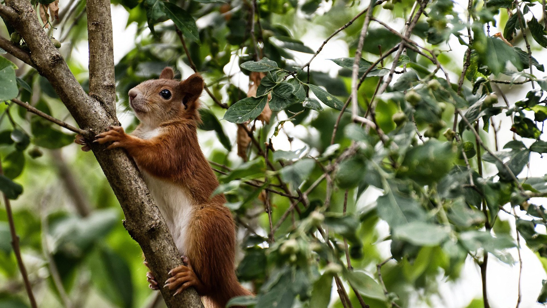 体育培训机构行业规范标准正式实施，体育培训机构需要什么许可证