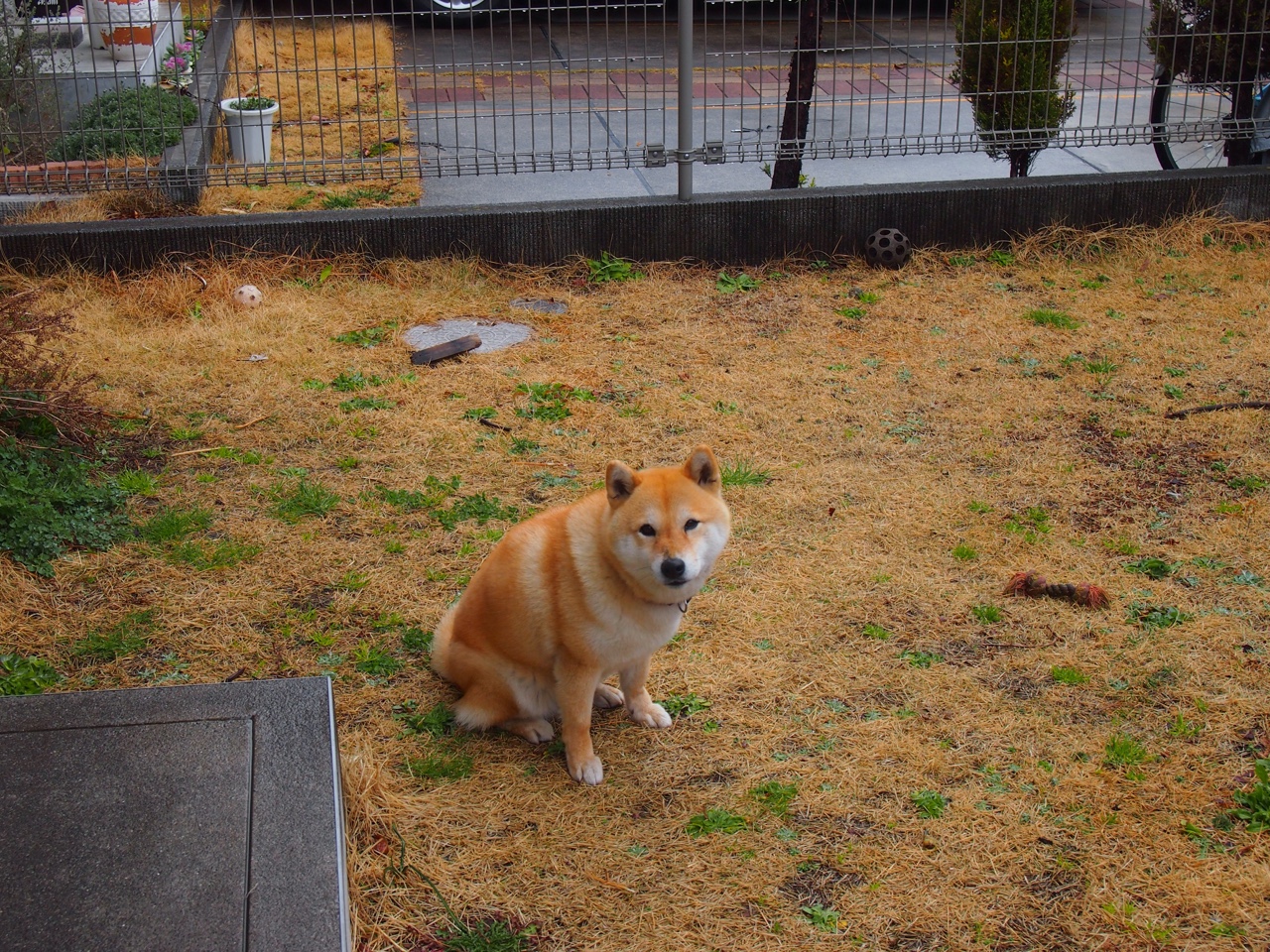 体育新闻中心启动区域体育媒体协同发展机制，体育媒体工作