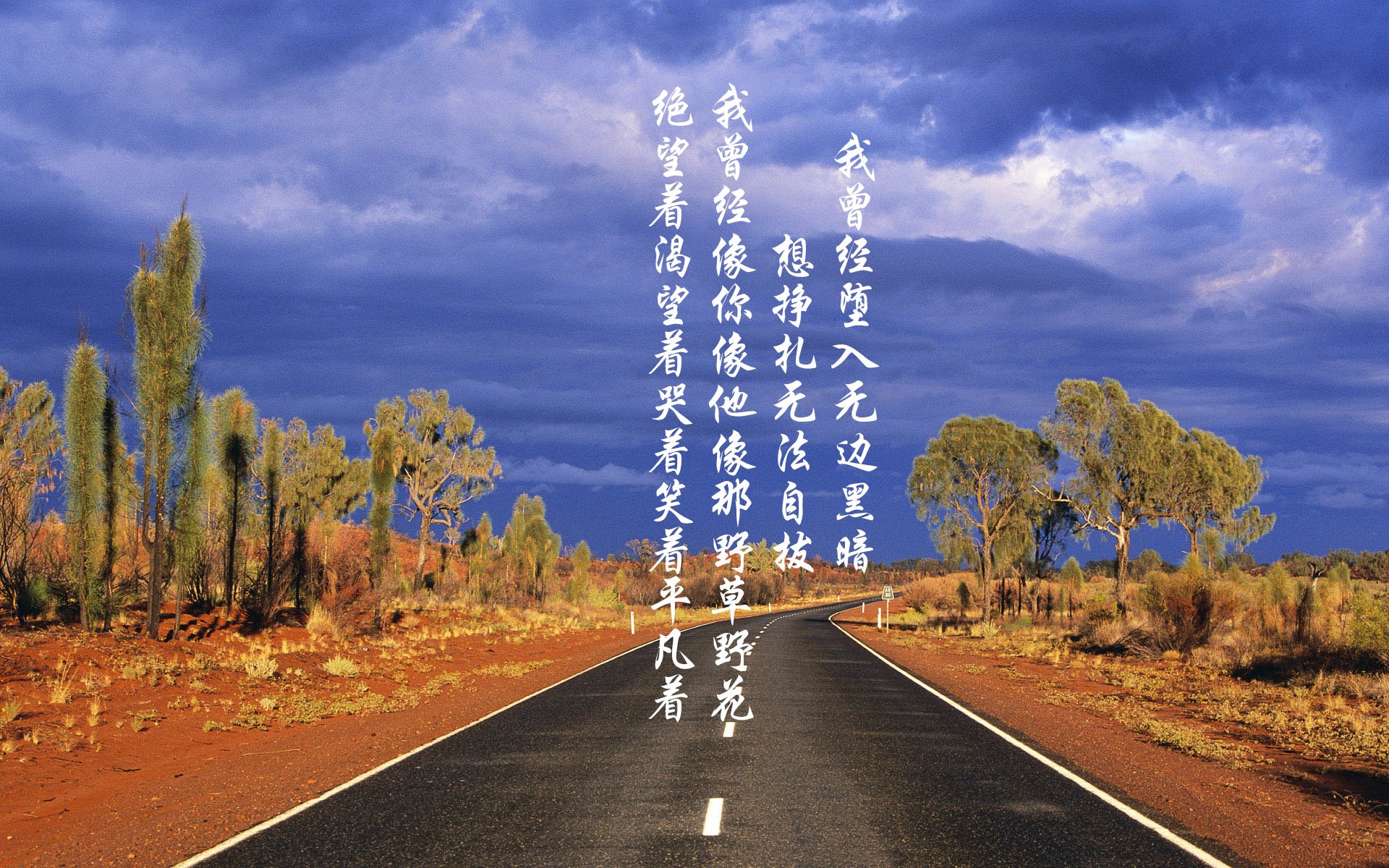 印度队未来发展：从本土赛场到国际舞台的跨越，印度国家队阵容
