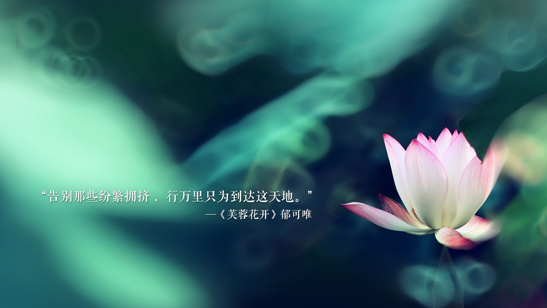 世俱杯2025全程直播-中国足球联赛完善赛季间青训总结评估体系，中国足球青训成果