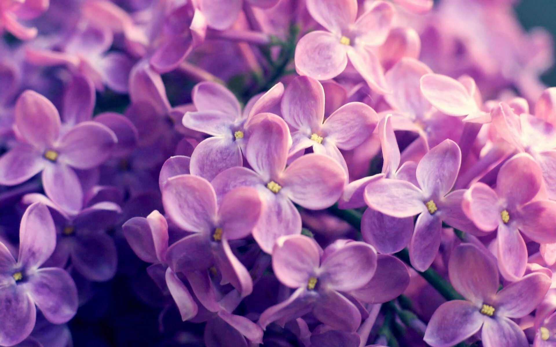 法甲攻防转换：精彩瞬间轮番上演！，法甲动作大