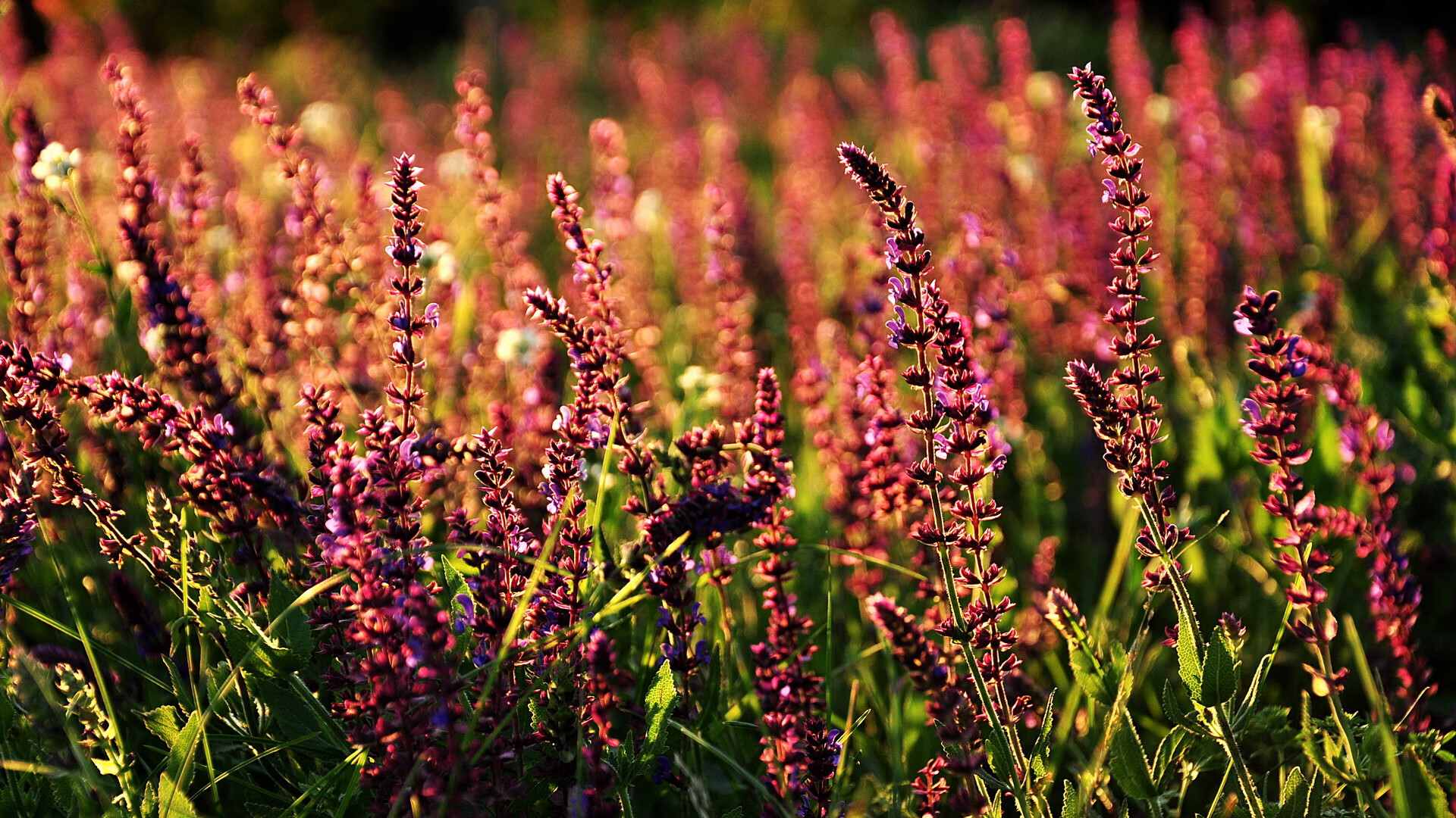 球迷自发制作横幅营造主场气势提升士气