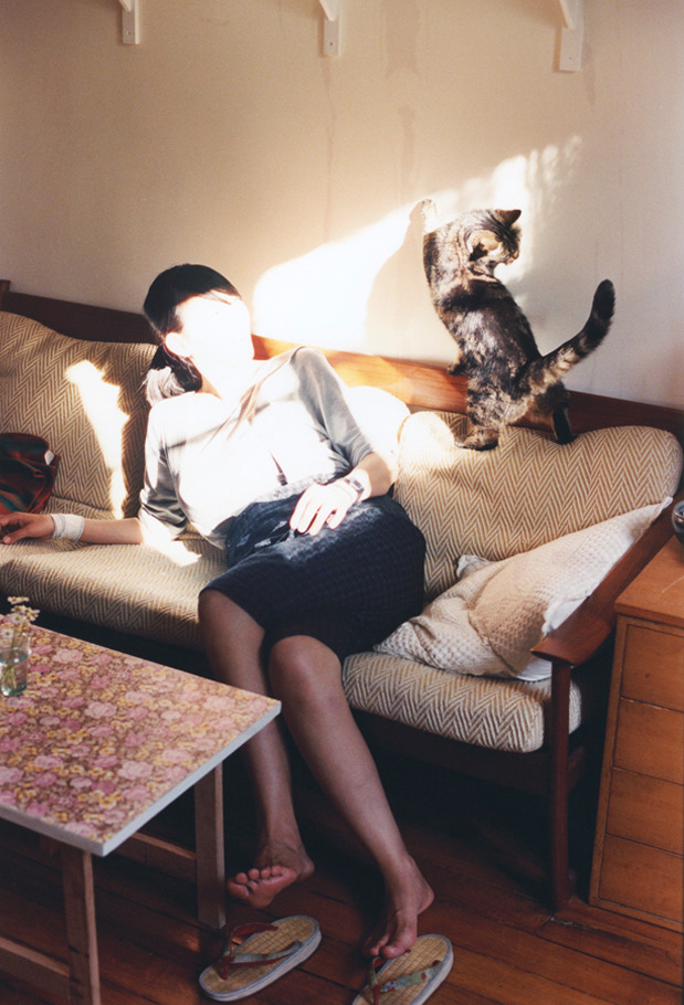 美洲杯明星盛会:技艺与拼搏完美结合!,美洲杯承办