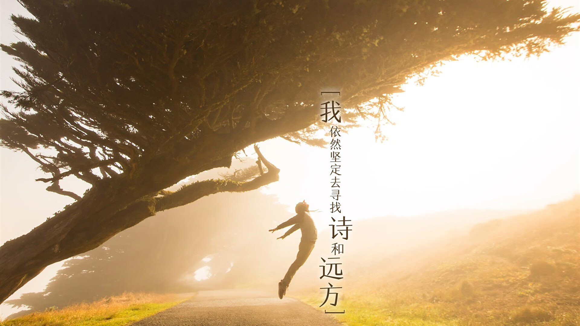 西甲冠军争夺:闪光瞬间点亮全场!,0203西甲冠军