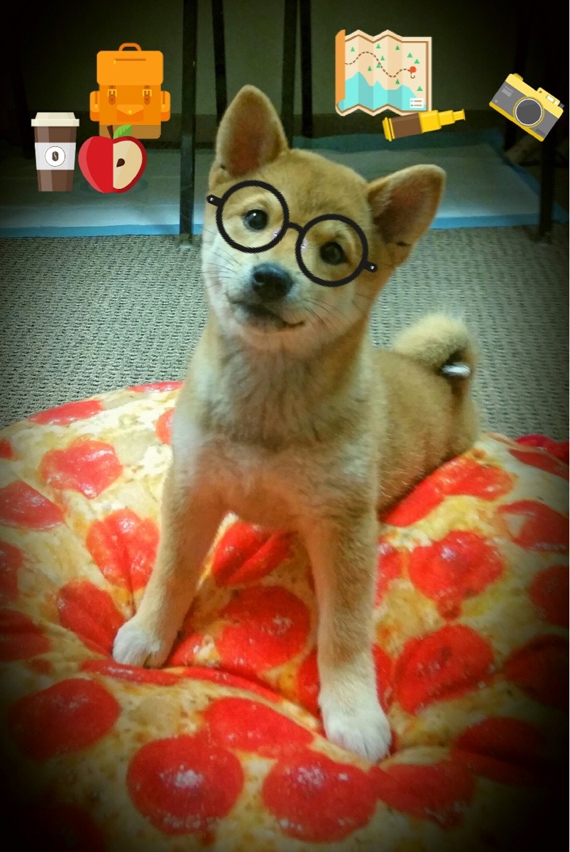 退役老将加入青训顾问团推动梯队建设稳健发展，青训退役选手